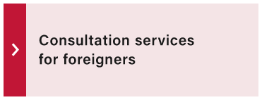 Consultation services for foreigners